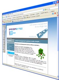 BadgerBytes Content Management Systems